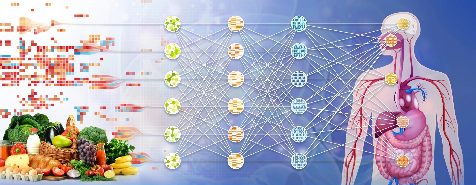Illustration: Lebensmittel, neuronales Netz und menschlicher Körper als Sinnbild für Geschmacks- und Geruchsforschung