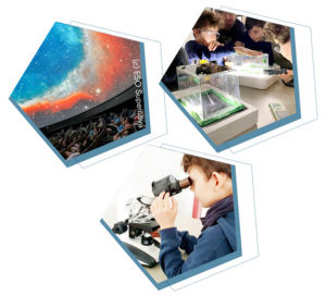 Mehr über den Artikel erfahren Science Camp Sommer