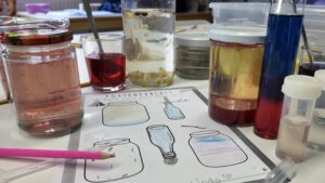 Mehr über den Artikel erfahren Science Day November 2025