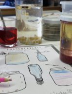 Science Day November 2025