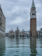Im curiocity Pavillon: Rette Venedig!